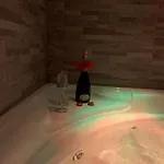 Le Coccinelle 3*